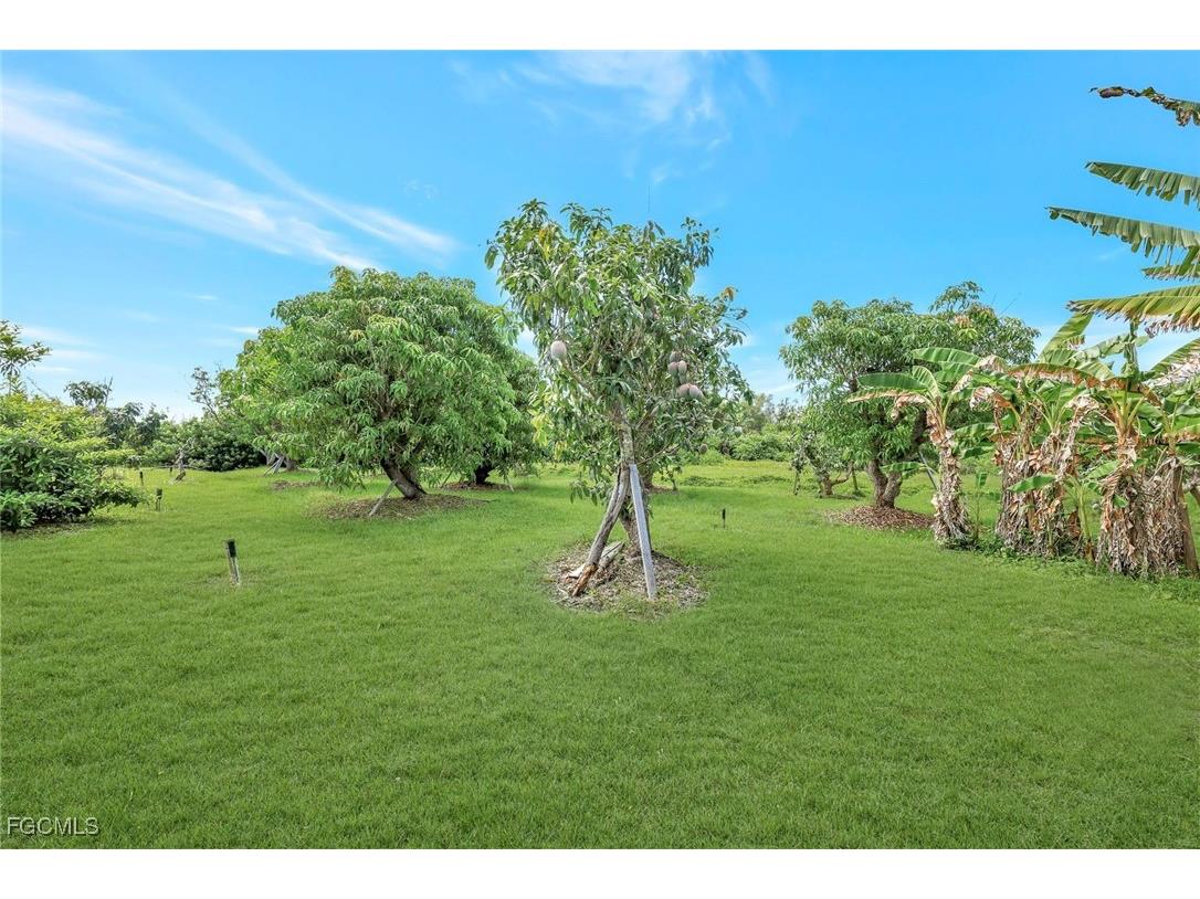 10464 Betsy Parkway Saint James City FL 33956 2025001113 image31