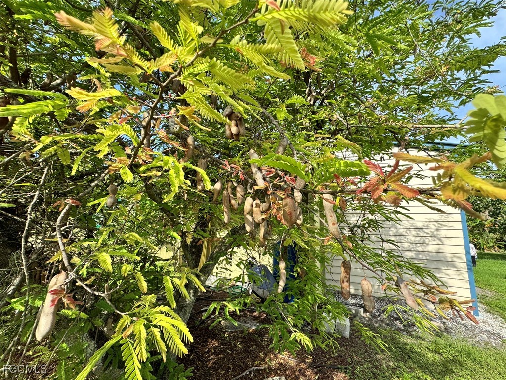 10464 Betsy Parkway Saint James City FL 33956 2025001113 image33