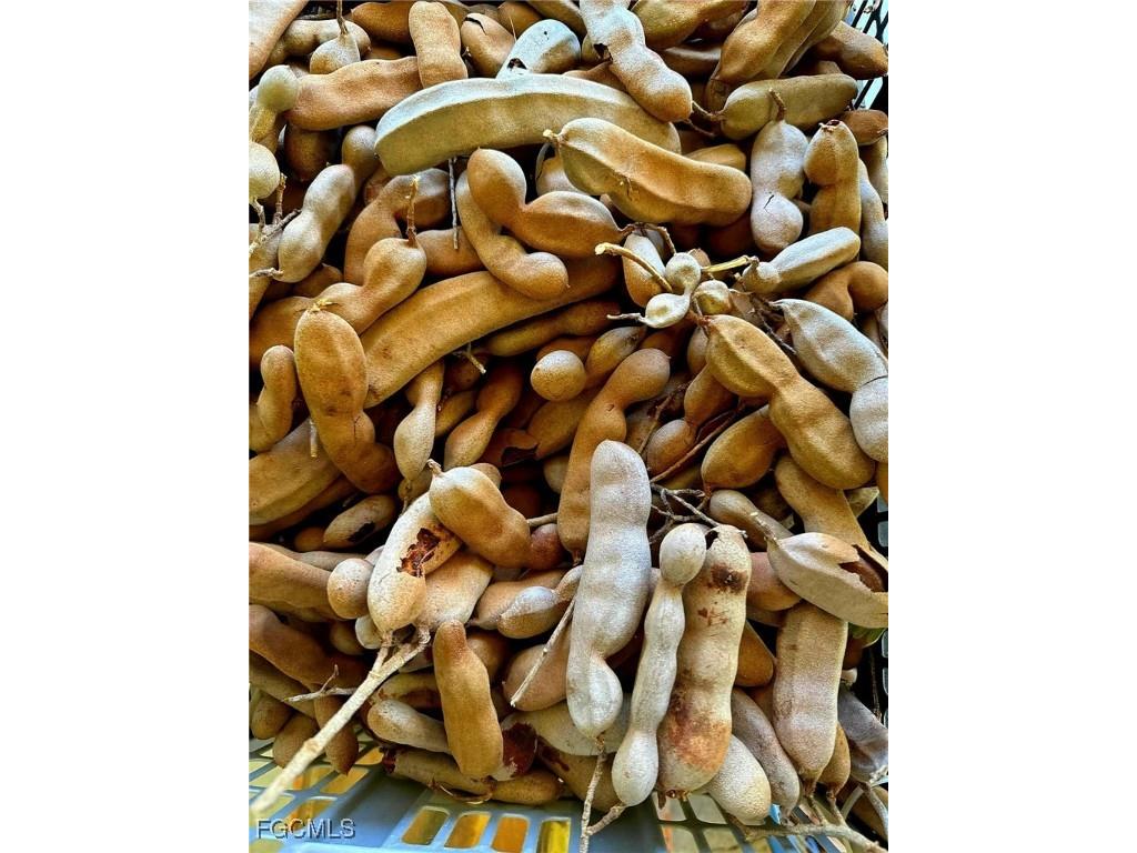 10464 Betsy Parkway Saint James City FL 33956 2025001113 image34