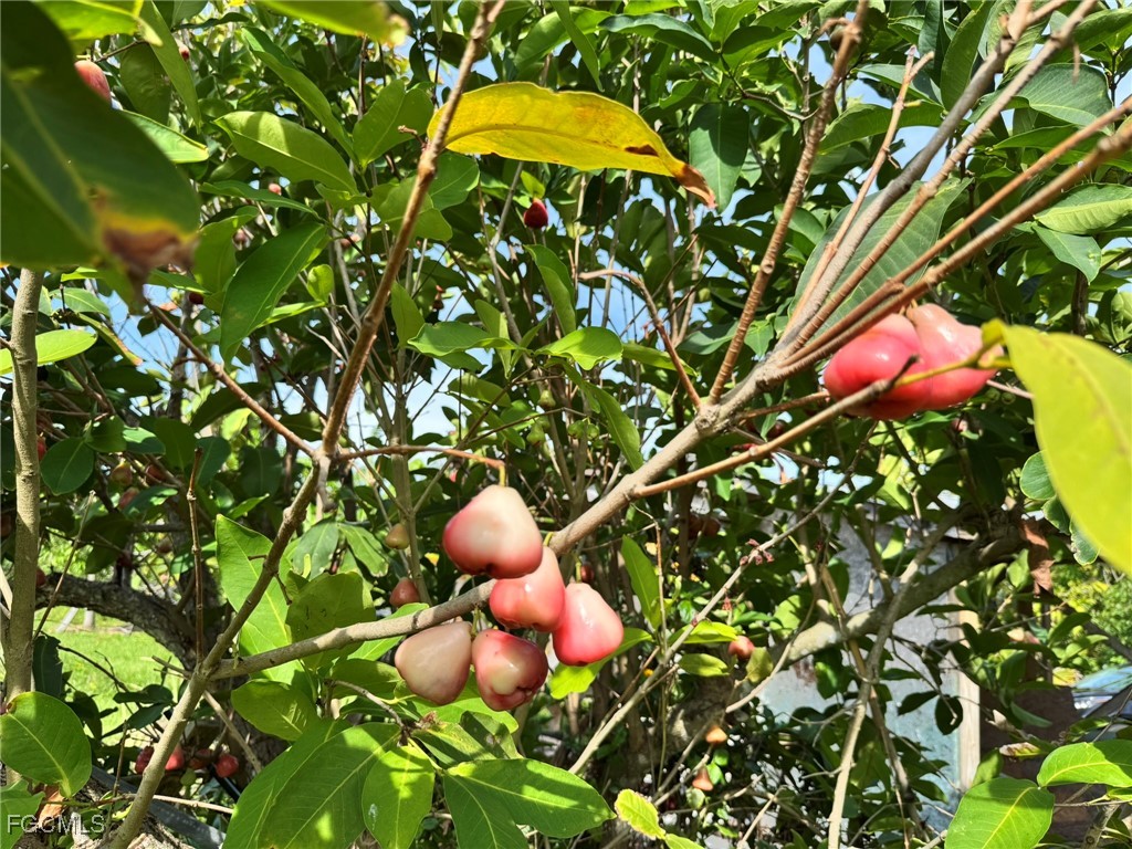 10464 Betsy Parkway Saint James City FL 33956 2025001113 image35