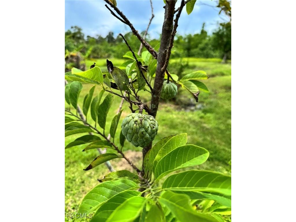 10464 Betsy Parkway Saint James City FL 33956 2025001113 image36