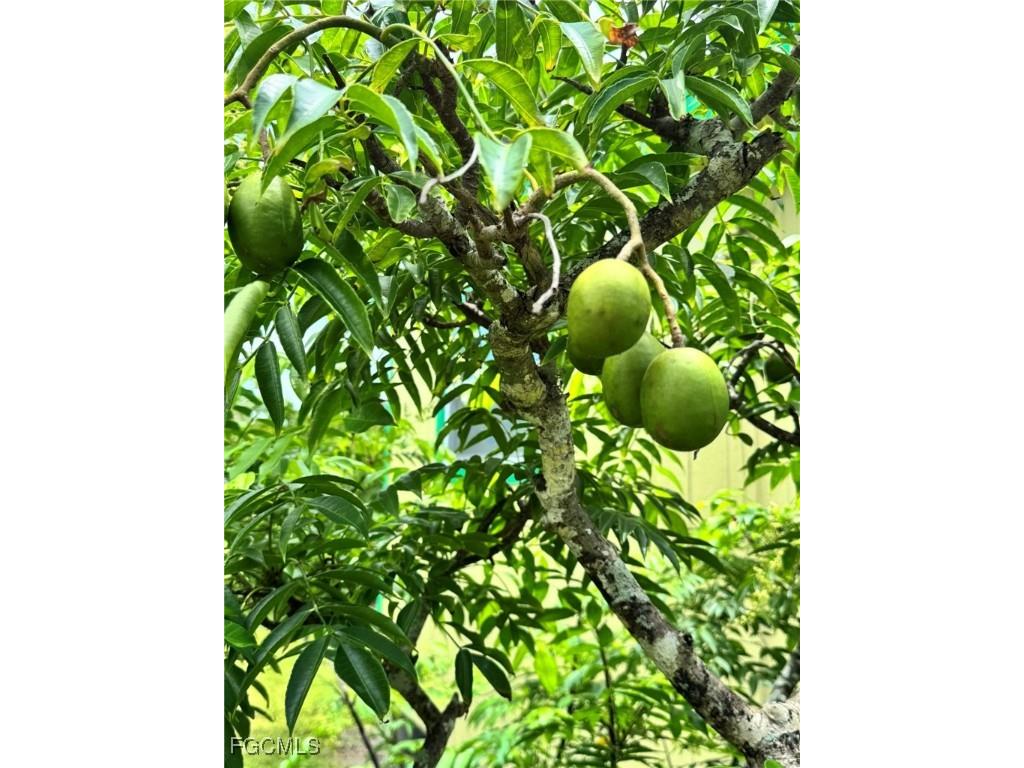 10464 Betsy Parkway Saint James City FL 33956 2025001113 image37