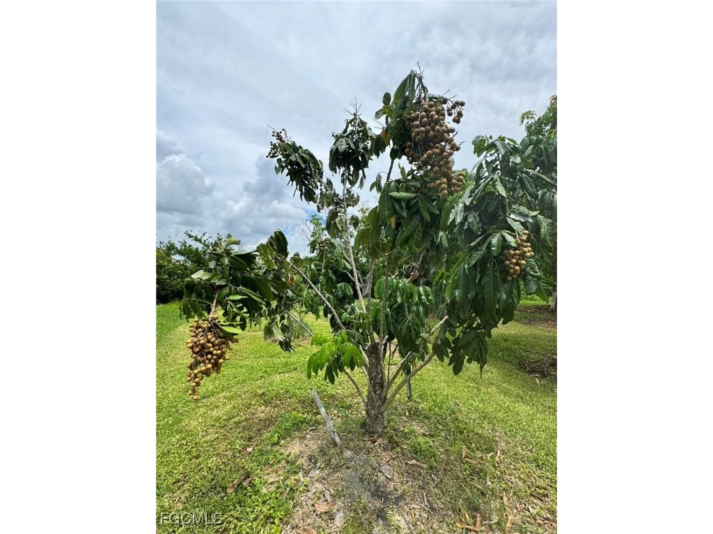 10464 Betsy Parkway Saint James City FL 33956 2025001113 image38