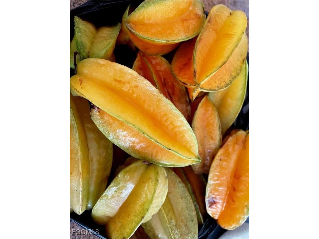 10464 Betsy Parkway Saint James City FL 33956 2025001113 image39