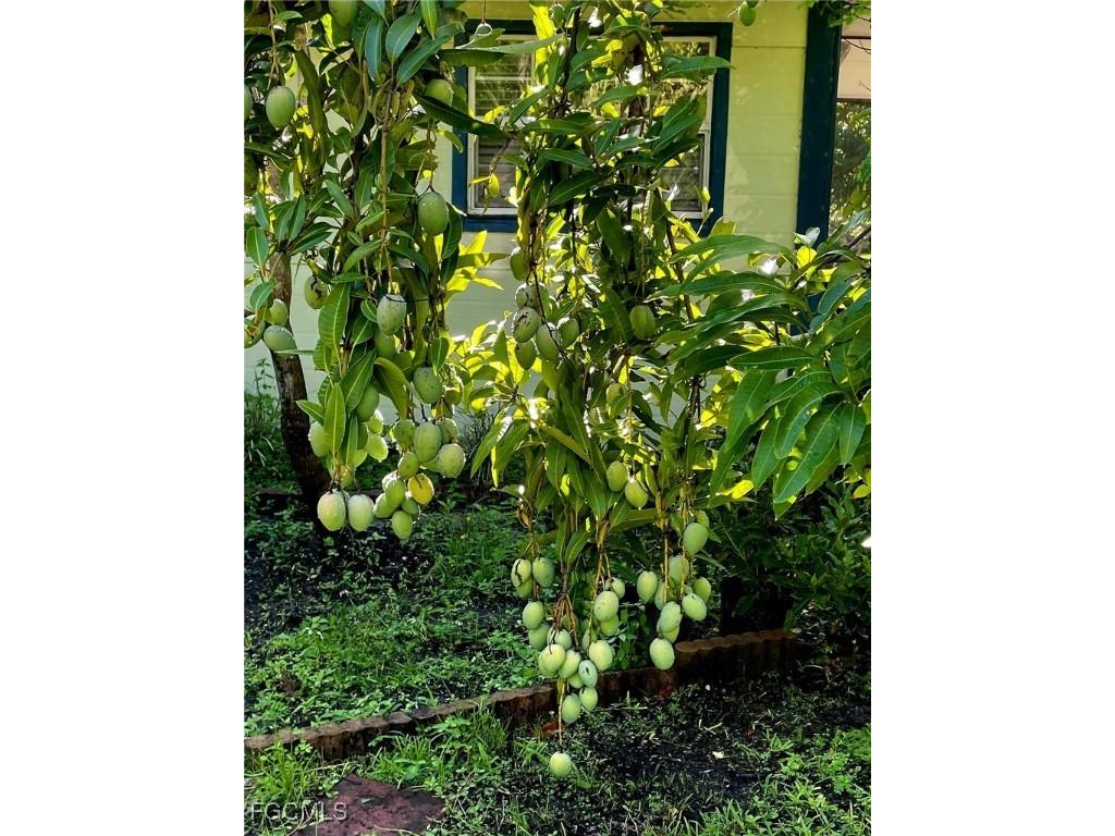 10464 Betsy Parkway Saint James City FL 33956 2025001113 image4