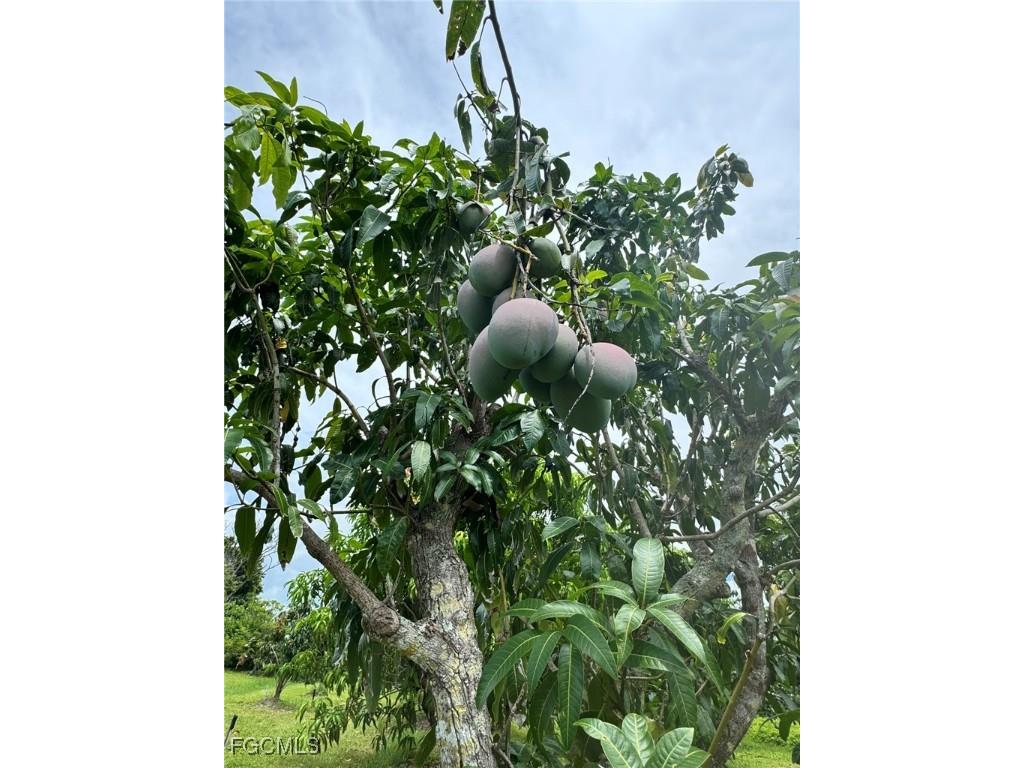 10464 Betsy Parkway Saint James City FL 33956 2025001113 image40