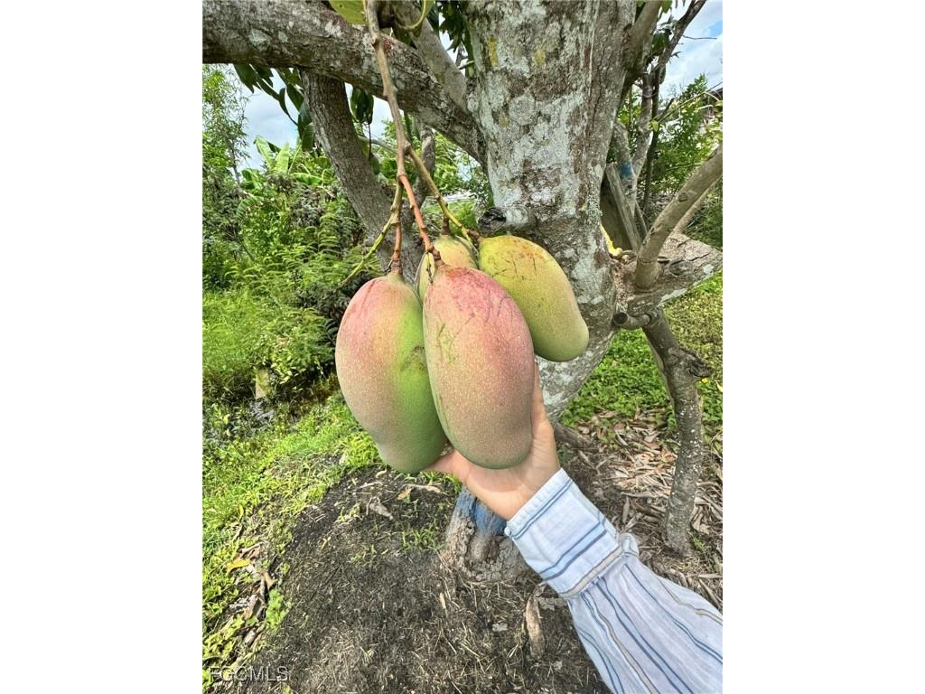 10464 Betsy Parkway Saint James City FL 33956 2025001113 image41