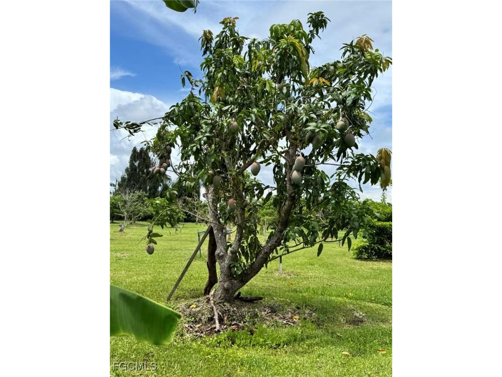 10464 Betsy Parkway Saint James City FL 33956 2025001113 image42