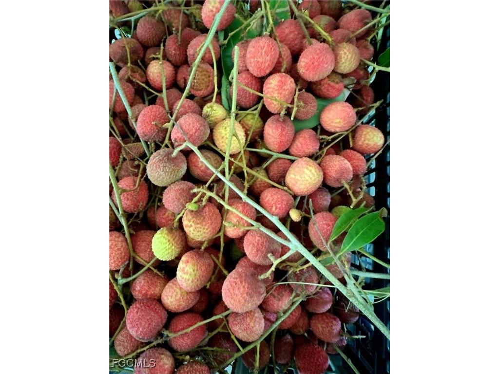 10464 Betsy Parkway Saint James City FL 33956 2025001113 image43