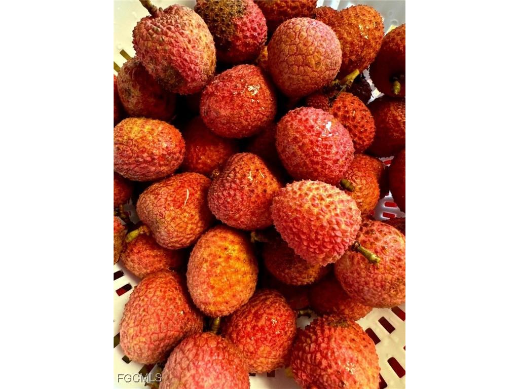 10464 Betsy Parkway Saint James City FL 33956 2025001113 image44