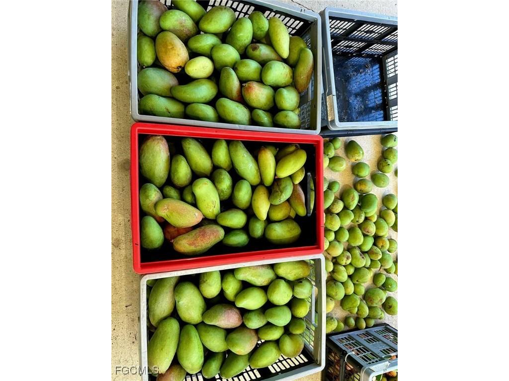 10464 Betsy Parkway Saint James City FL 33956 2025001113 image46