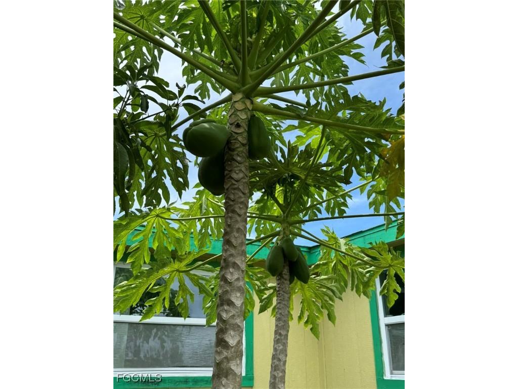 10464 Betsy Parkway Saint James City FL 33956 2025001113 image48