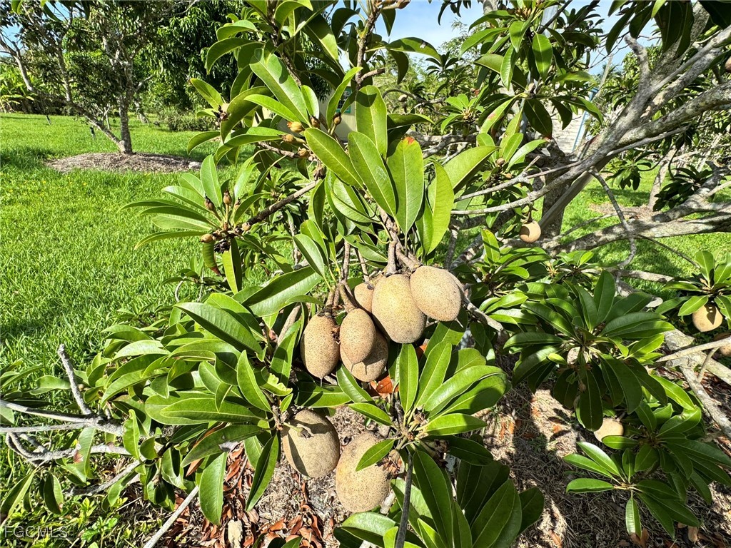 10464 Betsy Parkway Saint James City FL 33956 2025001113 image5