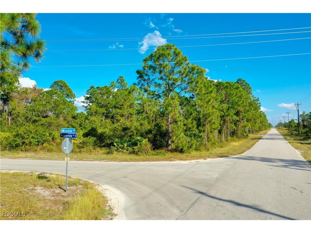 1047 Anaconda Avenue S Lehigh Acres FL 33974 2025007018 image1