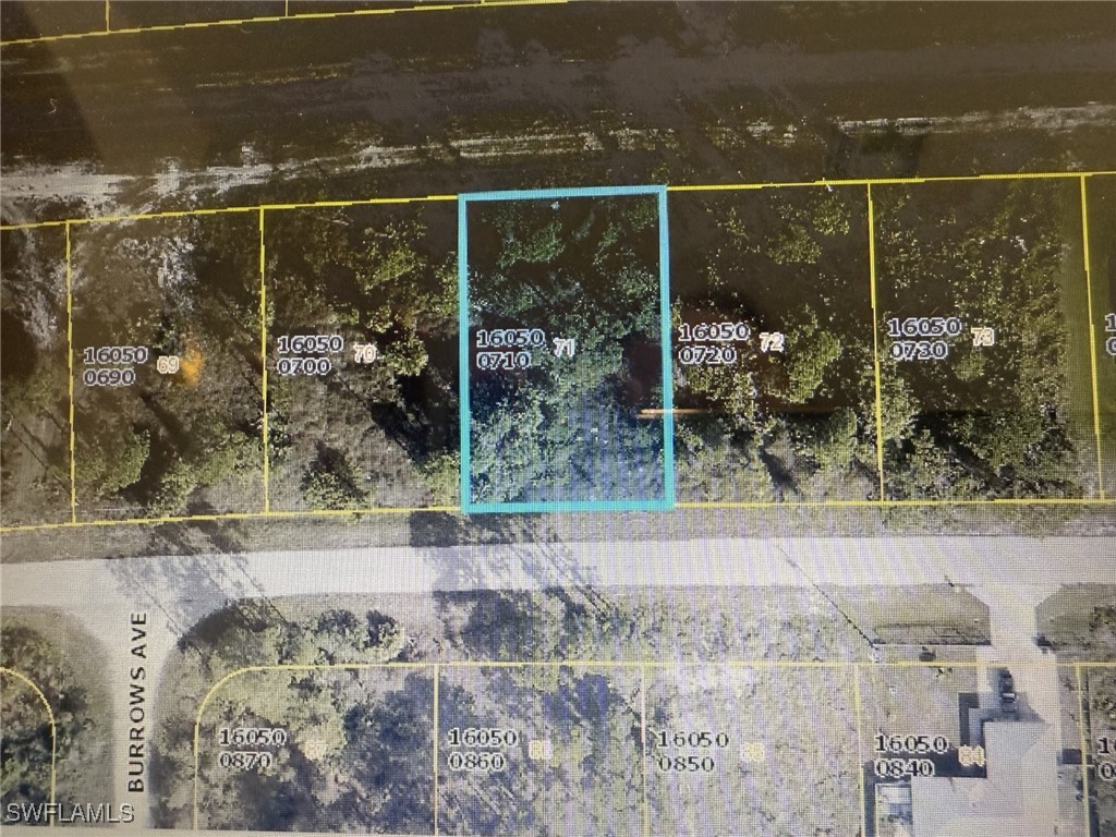 1047 Coleridge Street Lehigh Acres FL 33974 225003633 image1