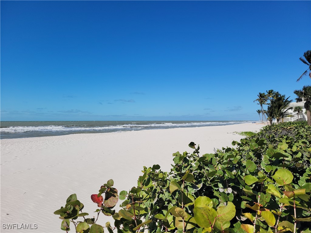 10475 Gulf Shore Drive #124 Naples FL 34108 225000044 image5