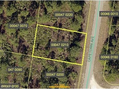 1048 Capetown Avenue Lehigh Acres FL 33974 222065834 image1