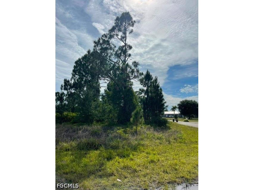 1048 Redbank Avenue Lehigh Acres FL 33974 2026020470 image3