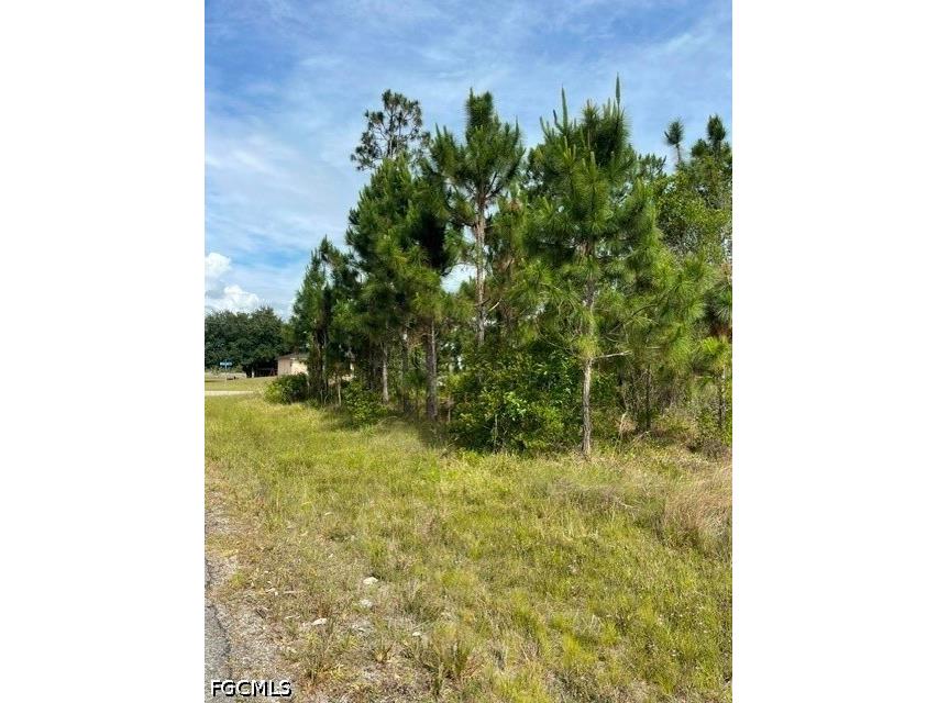 1048 Redbank Avenue Lehigh Acres FL 33974 2026020470 image4