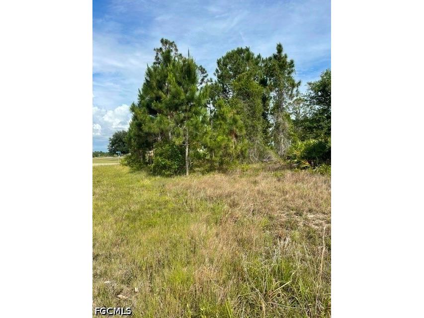 1048 Redbank Avenue Lehigh Acres FL 33974 2026020470 image5