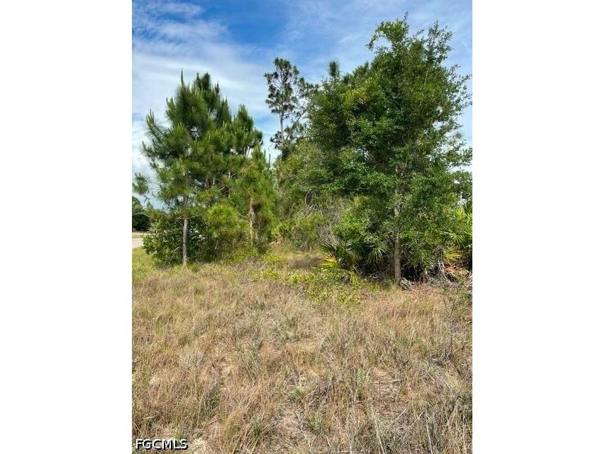 1048 Redbank Avenue Lehigh Acres FL 33974 2026020470 image6