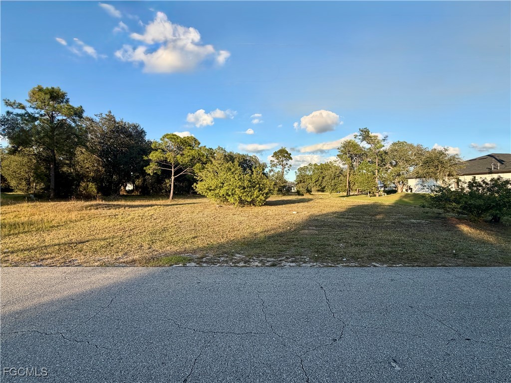 1049/1051 Meadow Road Lehigh Acres FL 33973 2025024455 image1
