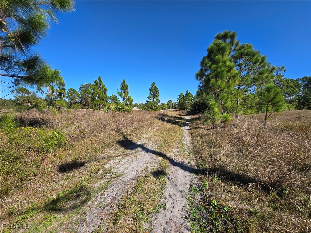 1049 Bandera Street Lehigh Acres FL 33974 2026005064 image2