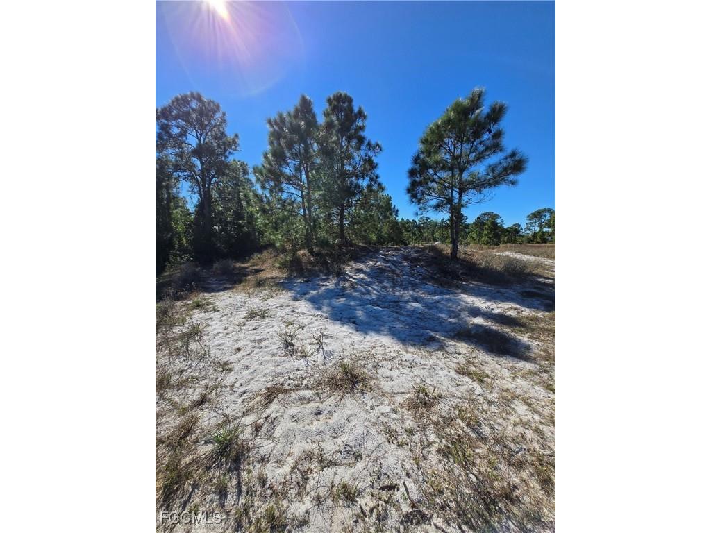 1049 Bandera Street Lehigh Acres FL 33974 2026005064 image3