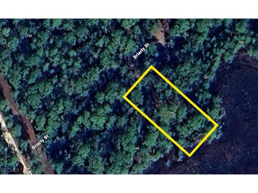 105 Brierly Street Georgetown FL 32139 2025017798 image1