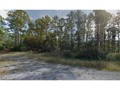 105 Natick Court Lehigh Acres FL 33974 223055901 image1