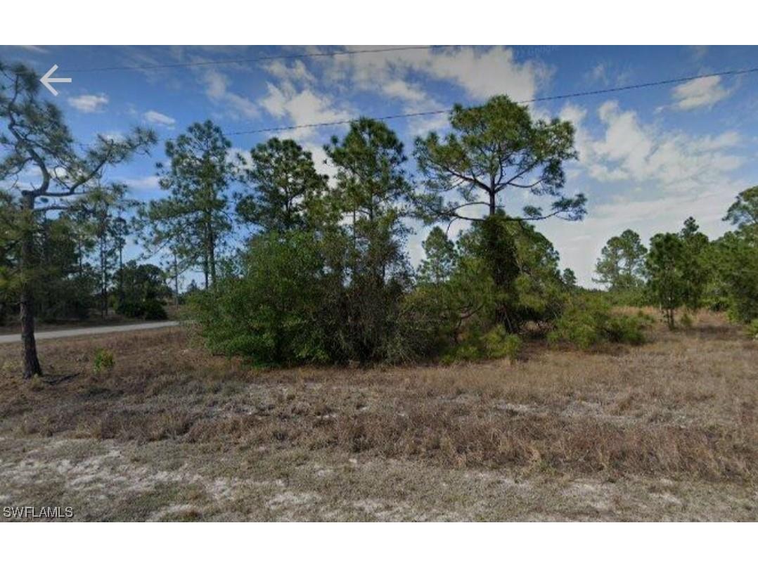 105 Pearson Street Lehigh Acres FL 33974 223051258 image1