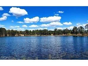 105 Sandpiper Drive Hawthorne FL 32640 2025017971 image2