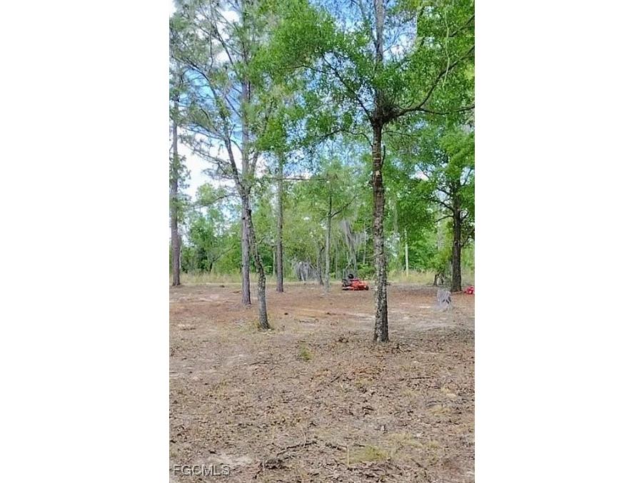 105 Sandpiper Drive Hawthorne FL 32640 2025017971 image4