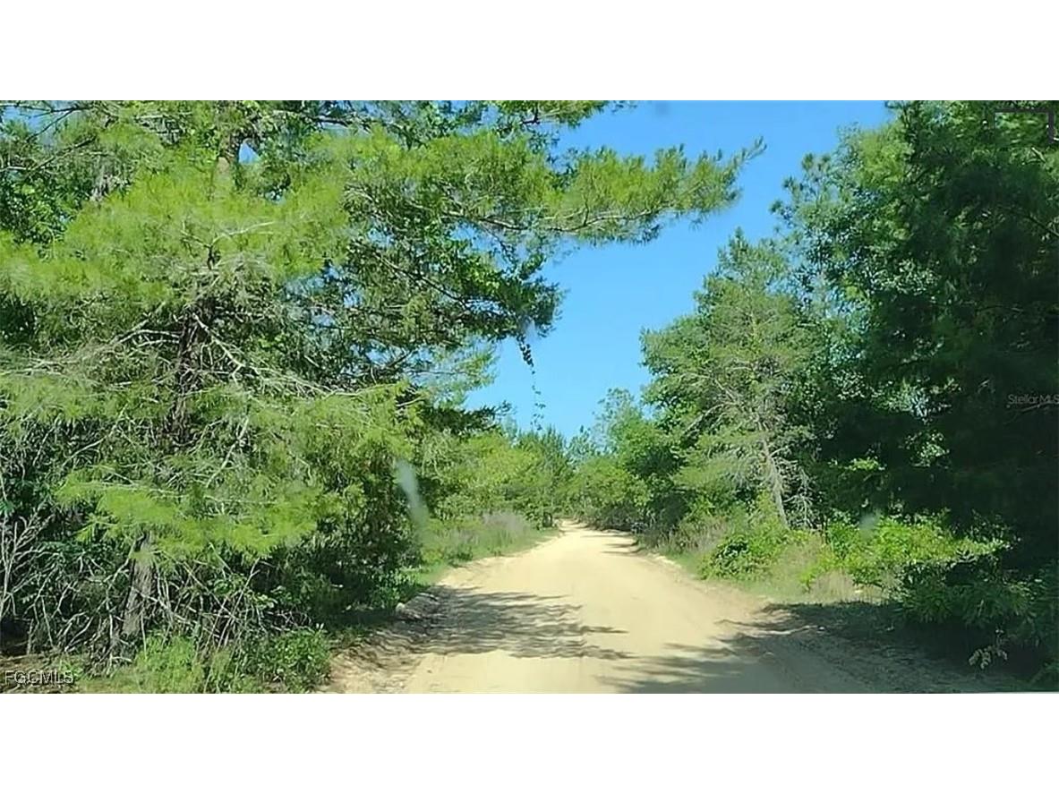 105 Sandpiper Drive Hawthorne FL 32640 2025017971 image5