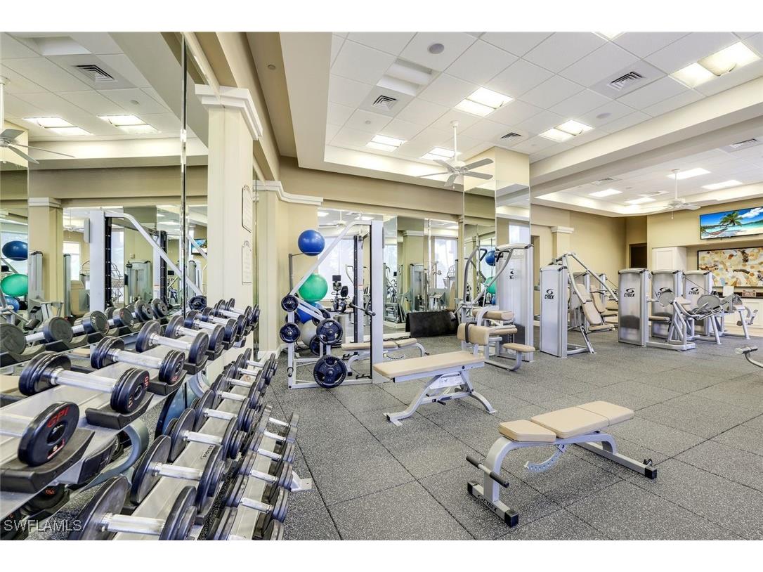 1050 Borghese Lane #206 Naples FL 34114 225043156 image43