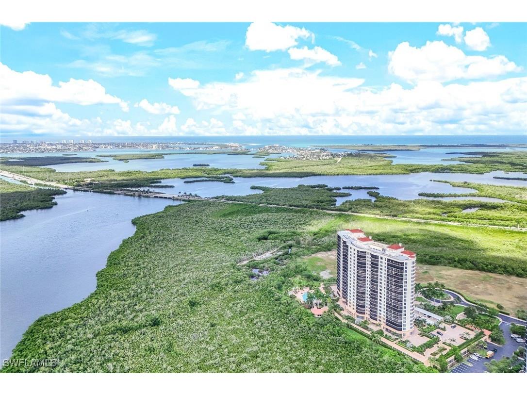 1050 Borghese Lane #206 Naples FL 34114 225043156 image49