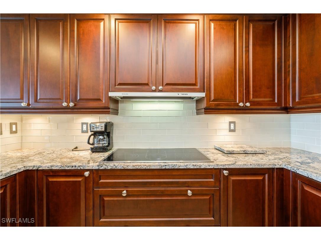 1050 Borghese Lane #605 Naples FL 34114 225054540 image14