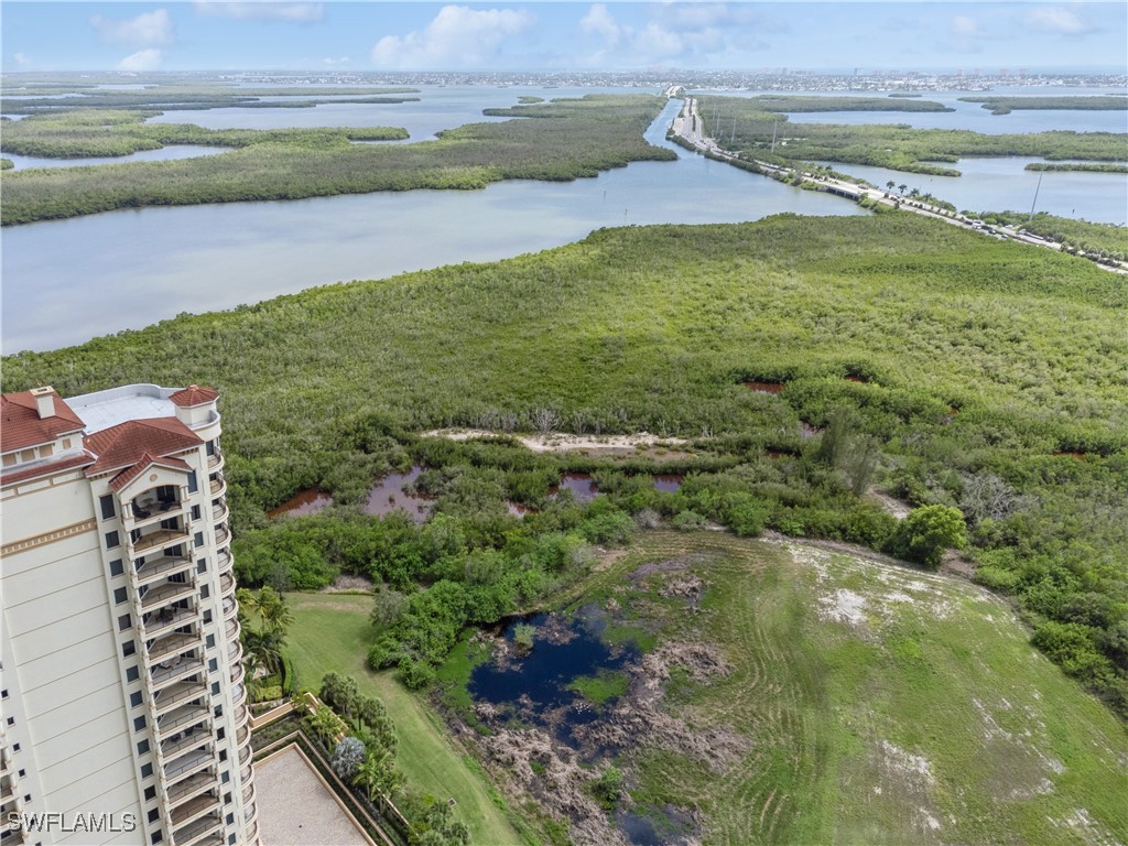 1050 Borghese Lane #605 Naples FL 34114 225054540 image48