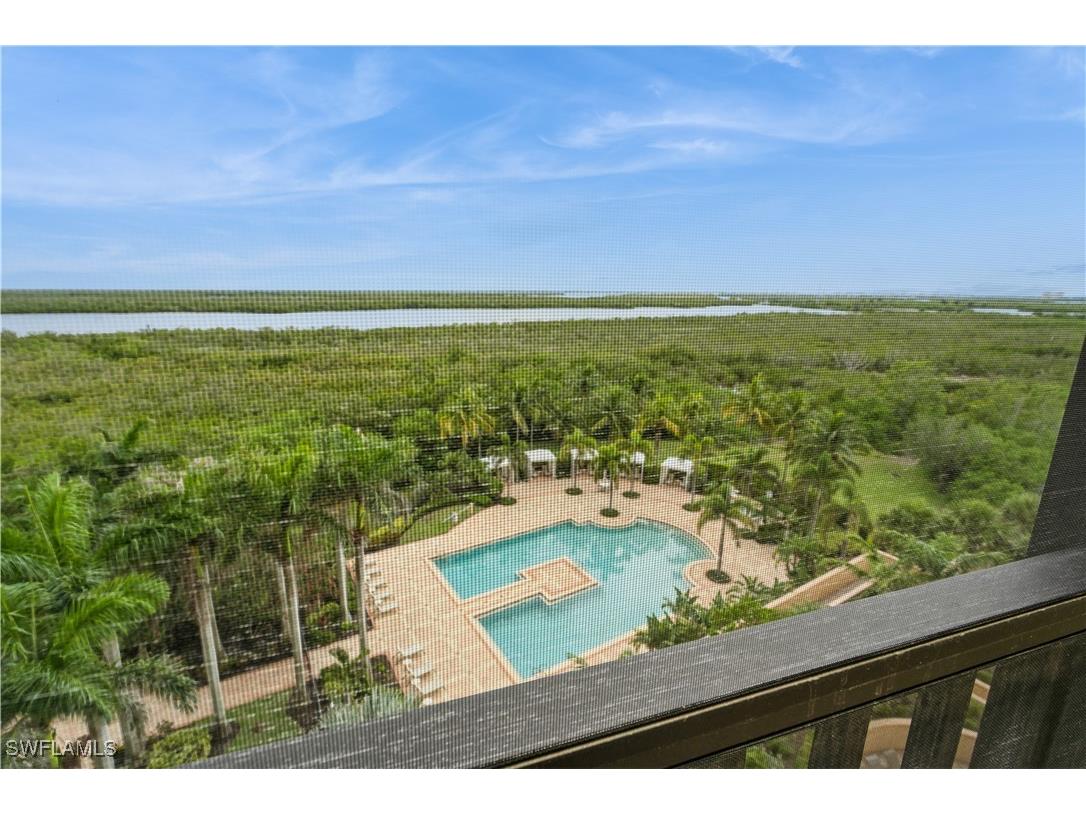 1050 Borghese Lane #605 Naples FL 34114 225054540 image49