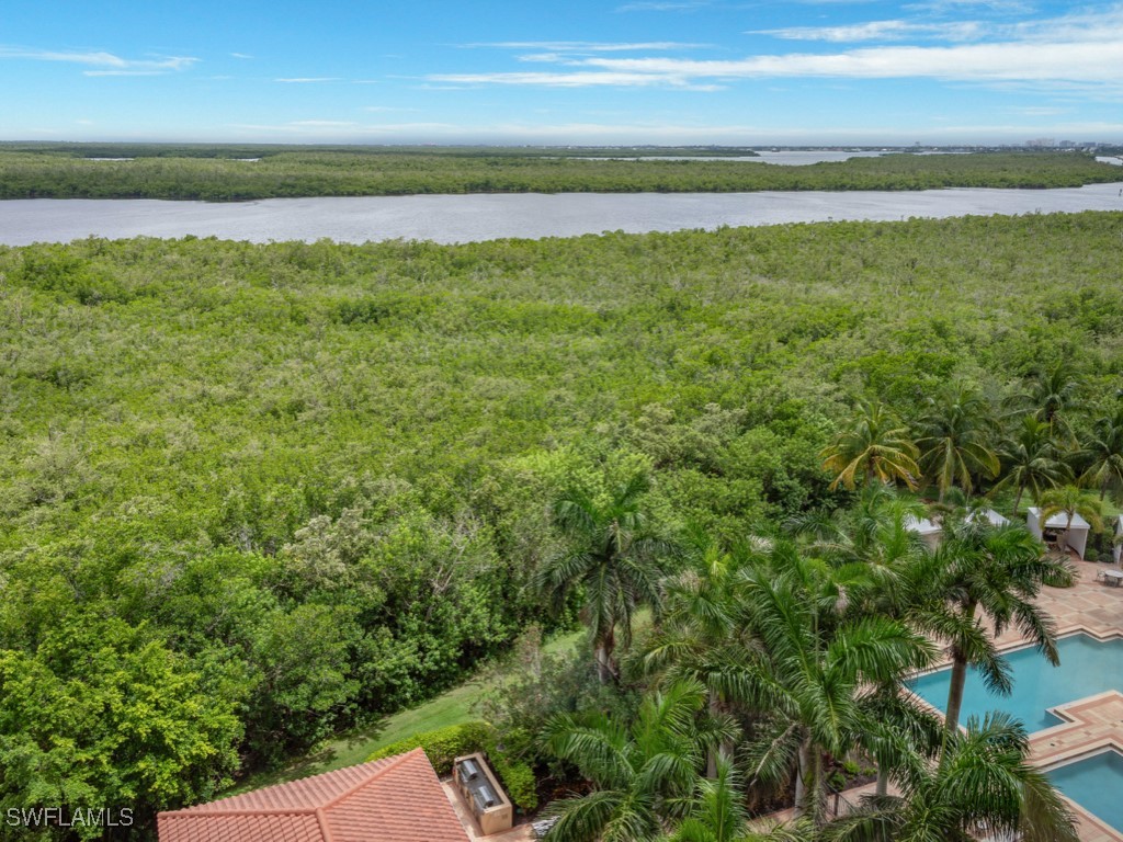 1050 Borghese Lane #804 Naples FL 34114 225067166 image30