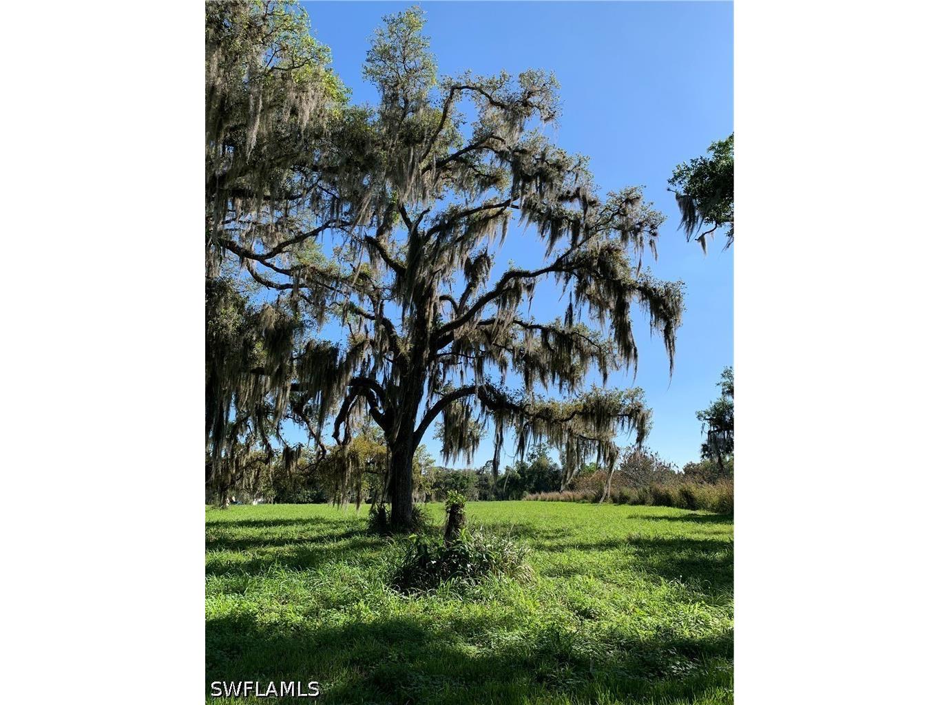 1050 Shady Oaks Avenue Labelle FL 33935 226021724 image15