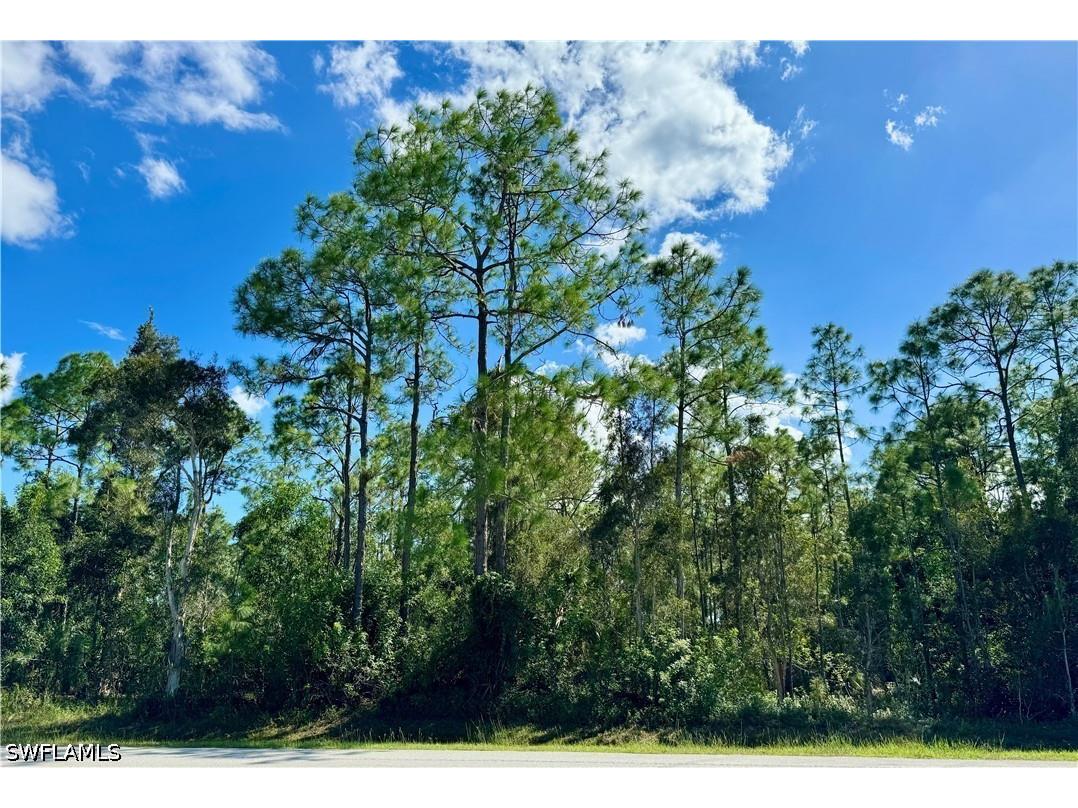 10500 Strike Lane Bonita Springs FL 34135 226018467 image2