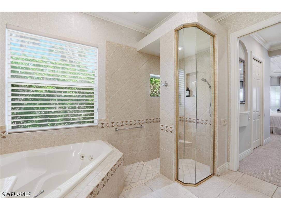 10500 Via Balestri Drive Miromar Lakes FL 33913 226015206 image25
