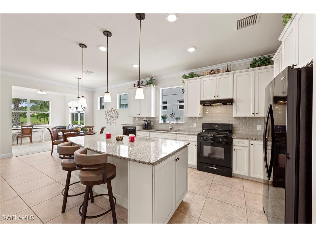 10507 Jackson Square Drive Estero FL 33928 225061274 image16