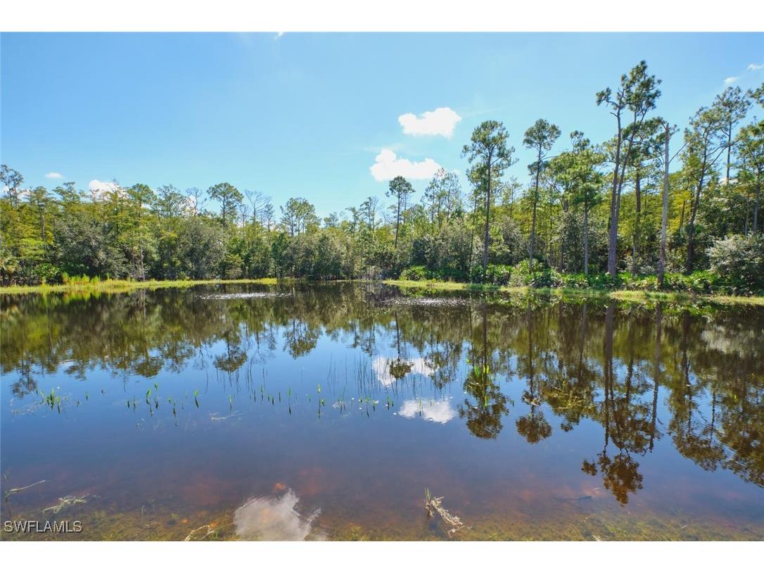 10517 Casella Way #201 Fort Myers FL 33913 225071132 image36