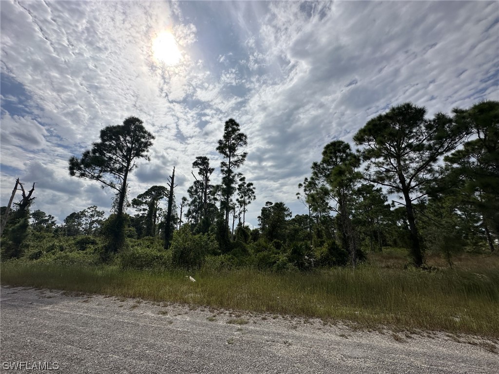 1052 Marshall Avenue S Lehigh Acres FL 33974 223074895 image1