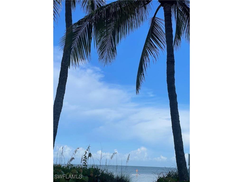 10525 Gulf Shore Drive #251 Naples FL 34108 225071578 image26