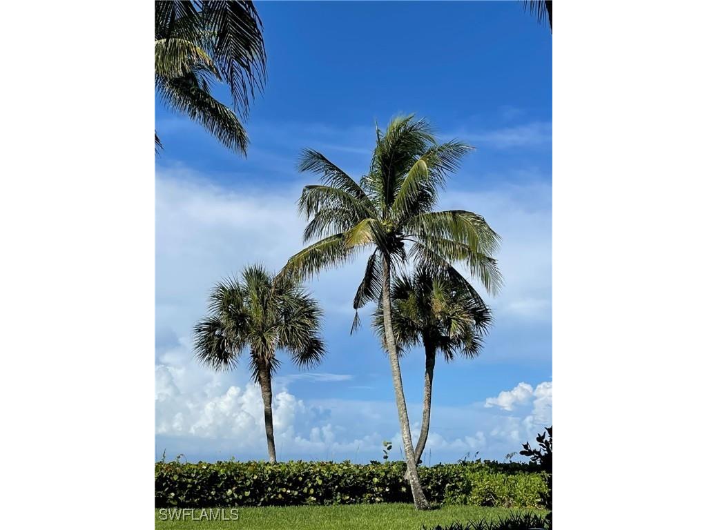 10525 Gulf Shore Drive #251 Naples FL 34108 225071578 image27