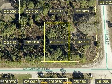 1053 Chadwick Street Lehigh Acres FL 33974 224064336 image1