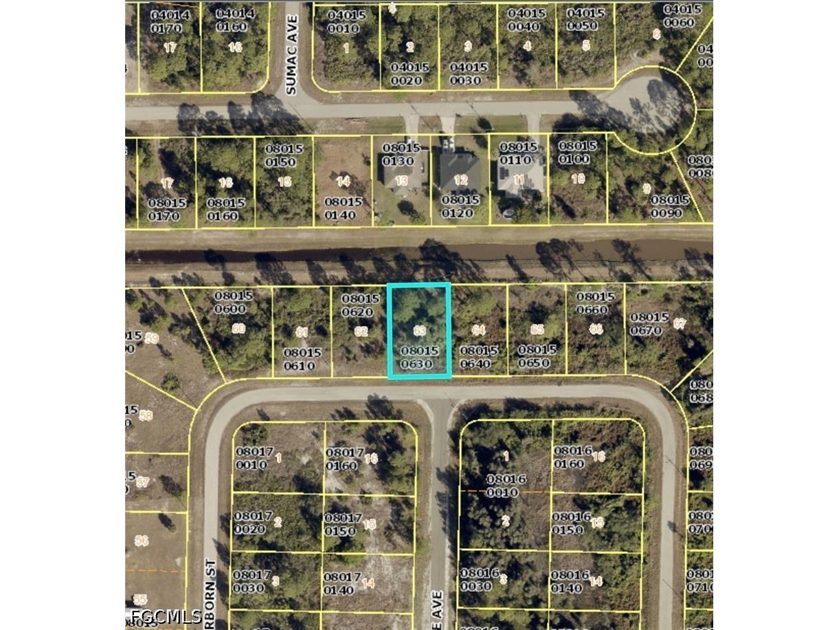 1053 Dearborn Street Lehigh Acres FL 33974 2026029350 image2